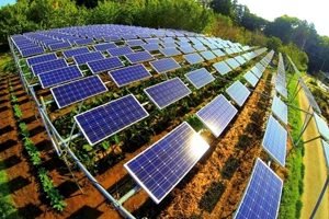 Serviços_Rural Serviços_Rural